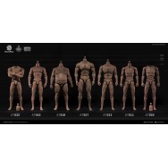 Worldbox AT016 1/6 Scale Muscular Figure Body